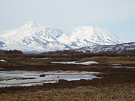 火山,春天,苔原