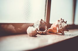 架,集合,貝殼