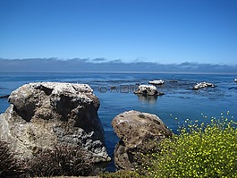 加利福尼亞州,海岸,海洋