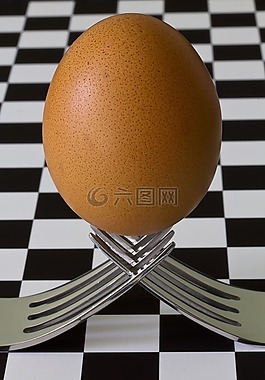 食品,上午,早餐