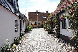 simrishamn,石,玫瑰