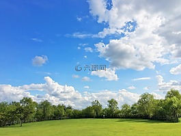 天空,草,云