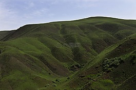 山,春,綠色