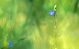 廠,性質(zhì),活