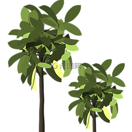 葉子,葉,植物