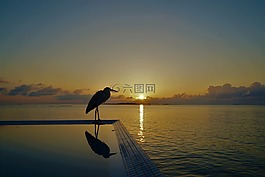 日出,海,天空