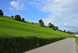 阿爾高,全景,報告