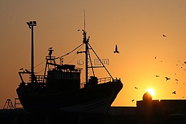 船,釣魚船,漁業