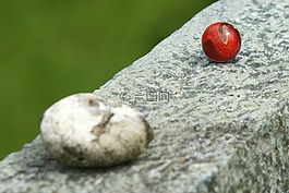 石,艺术,数字