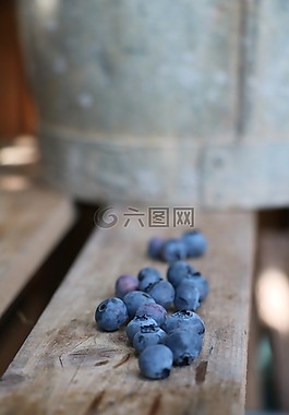藍(lán)莓,obstkiste,花園