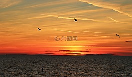 海滩,太阳,克利尔沃特海滩