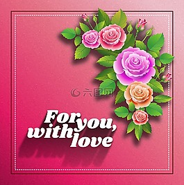 玫瑰,鮮花,春