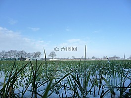 性質(zhì),雪,冬天