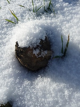 雪,石,性質(zhì)