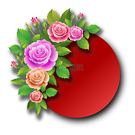 玫瑰,鮮花,春