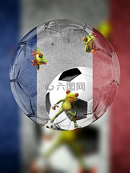 歐洲足球錦標賽,足球,2016
