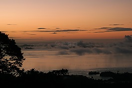 日落,叢林,霧