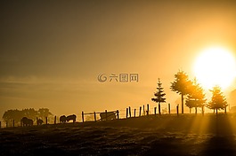 日出,晨光,上午