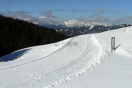 雪,冬季,腳印