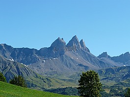 arves 針葉,阿爾卑斯山,山