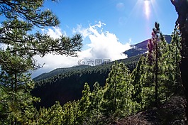 西班牙,加那利群島,特內(nèi)里費(fèi)