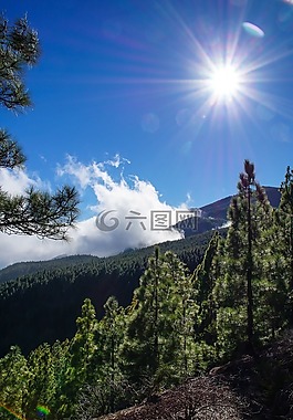 西班牙,加那利群島,特內里費