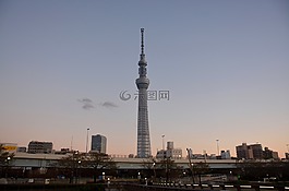 东京,塔,晚上