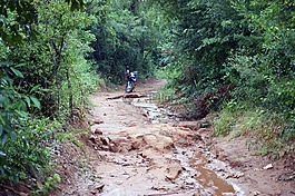 摩托車,叢林,路