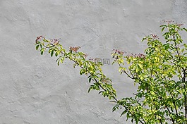 墻,太陽(yáng),夏季