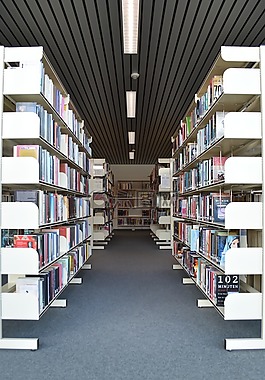 书籍,图书馆,读取