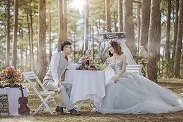 婚禮,圖美麗的婚禮,的婚禮