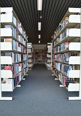 书籍,图书馆,读取