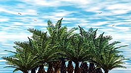 棕櫚樹,樹,加勒比海