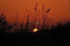 日出,巴拉頓湖,湖濱區(qū)