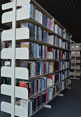 书籍,图书馆,读取