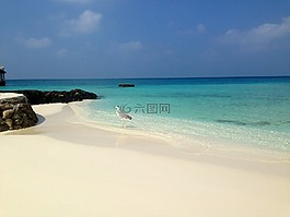 水,海灘,海