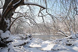雪,徑,冬天