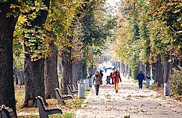 公園,路徑,路