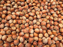 榛子,堅果,食品