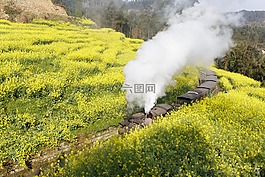 嘉陽,火車,風景