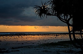 低潮,海邊,岸