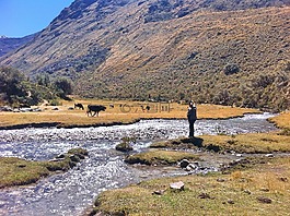 塞拉利昂,瓦拉斯,treking
