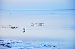景觀,海,和平