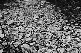 chippings,石頭,紋理