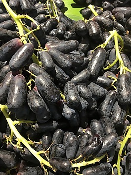 食品,自然,成长