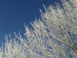 冬天,太陽,雪