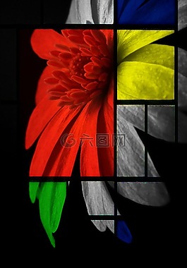 花,數(shù)字藝術(shù),計算機(jī)圖形