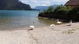 湖,水,沙
