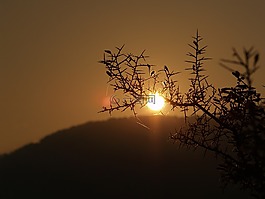 日出,地平線,工廠