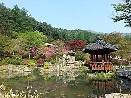 大自然,花園,公園